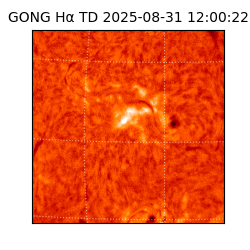 gong - 2025-08-31T12:00:22