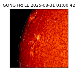 gong - 2025-08-31T01:00:42