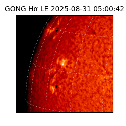 gong - 2025-08-31T05:00:42