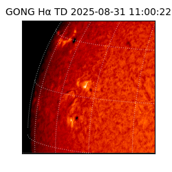 gong - 2025-08-31T11:00:22