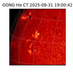gong - 2025-08-31T19:00:42