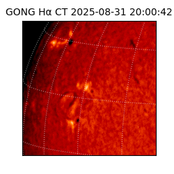 gong - 2025-08-31T20:00:42