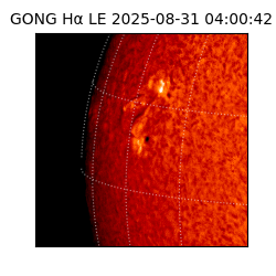 gong - 2025-08-31T04:00:42