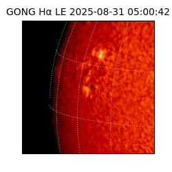 gong - 2025-08-31T05:00:42