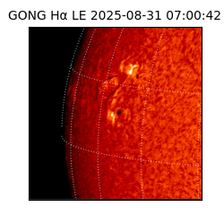 gong - 2025-08-31T07:00:42
