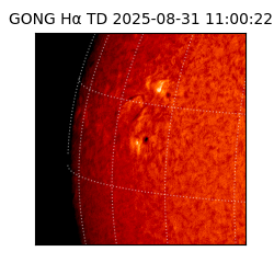 gong - 2025-08-31T11:00:22
