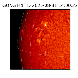 gong - 2025-08-31T14:00:22