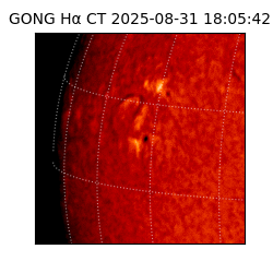 gong - 2025-08-31T18:05:42