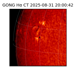 gong - 2025-08-31T20:00:42