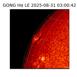 gong - 2025-08-31T03:00:42