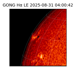 gong - 2025-08-31T04:00:42