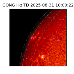gong - 2025-08-31T10:00:22