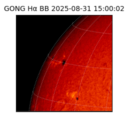 gong - 2025-08-31T15:00:02