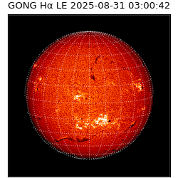 gong - 2025-08-31T03:00:42