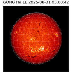 gong - 2025-08-31T05:00:42