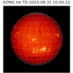 gong - 2025-08-31T10:00:22