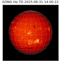 gong - 2025-08-31T14:00:22