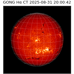 gong - 2025-08-31T20:00:42