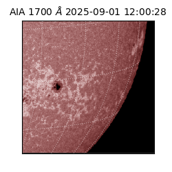 saia - 2025-09-01T12:00:28.719000