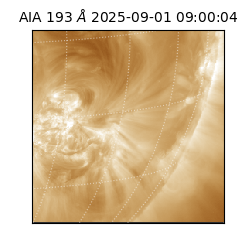 saia - 2025-09-01T09:00:04.843000