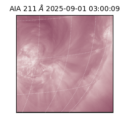 saia - 2025-09-01T03:00:09.630000