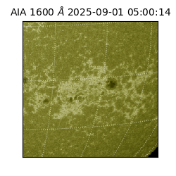 saia - 2025-09-01T05:00:14.132000
