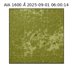 saia - 2025-09-01T06:00:14.134000