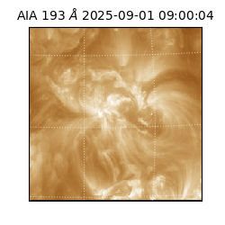 saia - 2025-09-01T09:00:04.843000