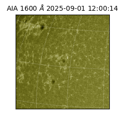 saia - 2025-09-01T12:00:14.126000