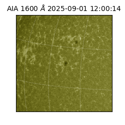 saia - 2025-09-01T12:00:14.126000
