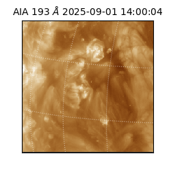saia - 2025-09-01T14:00:04.843000