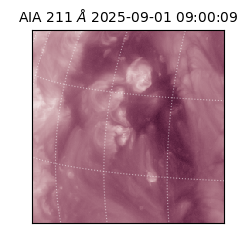 saia - 2025-09-01T09:00:09.640000