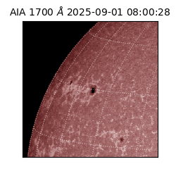 saia - 2025-09-01T08:00:28.721000