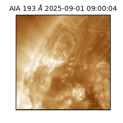saia - 2025-09-01T09:00:04.843000