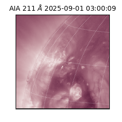 saia - 2025-09-01T03:00:09.630000