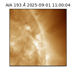 saia - 2025-09-01T11:00:04.842000