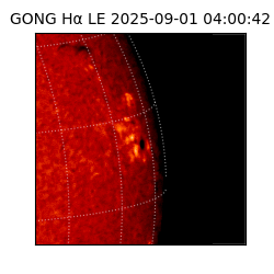 gong - 2025-09-01T04:00:42