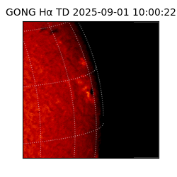 gong - 2025-09-01T10:00:22