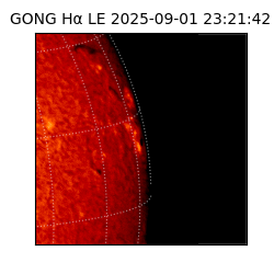 gong - 2025-09-01T23:21:42