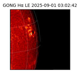 gong - 2025-09-01T03:02:42