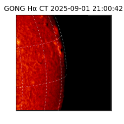 gong - 2025-09-01T21:00:42