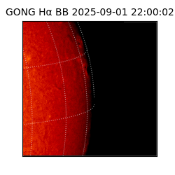 gong - 2025-09-01T22:00:02
