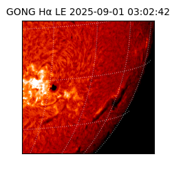 gong - 2025-09-01T03:02:42