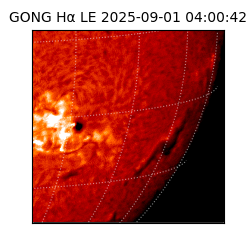 gong - 2025-09-01T04:00:42