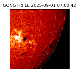 gong - 2025-09-01T07:00:42
