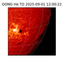 gong - 2025-09-01T12:00:22