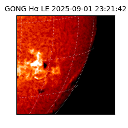 gong - 2025-09-01T23:21:42