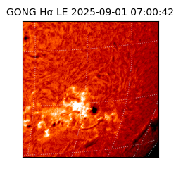 gong - 2025-09-01T07:00:42