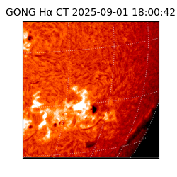 gong - 2025-09-01T18:00:42