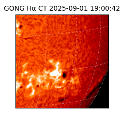 gong - 2025-09-01T19:00:42